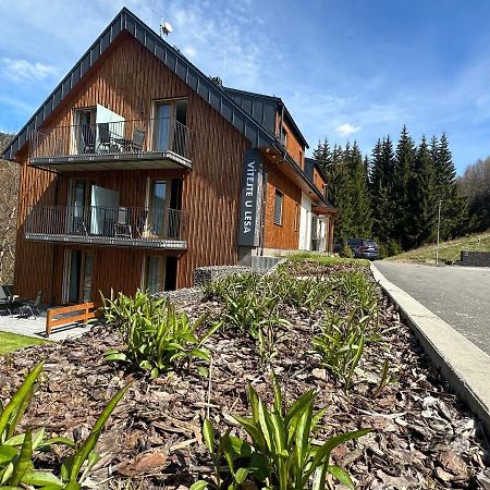 Apartmany U Lesa Dolni Morava Exterior photo