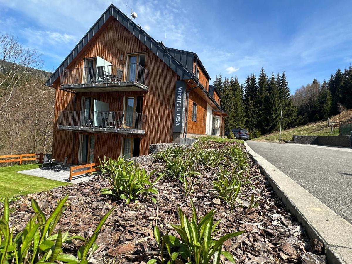 Apartmany U Lesa Dolni Morava Exterior photo