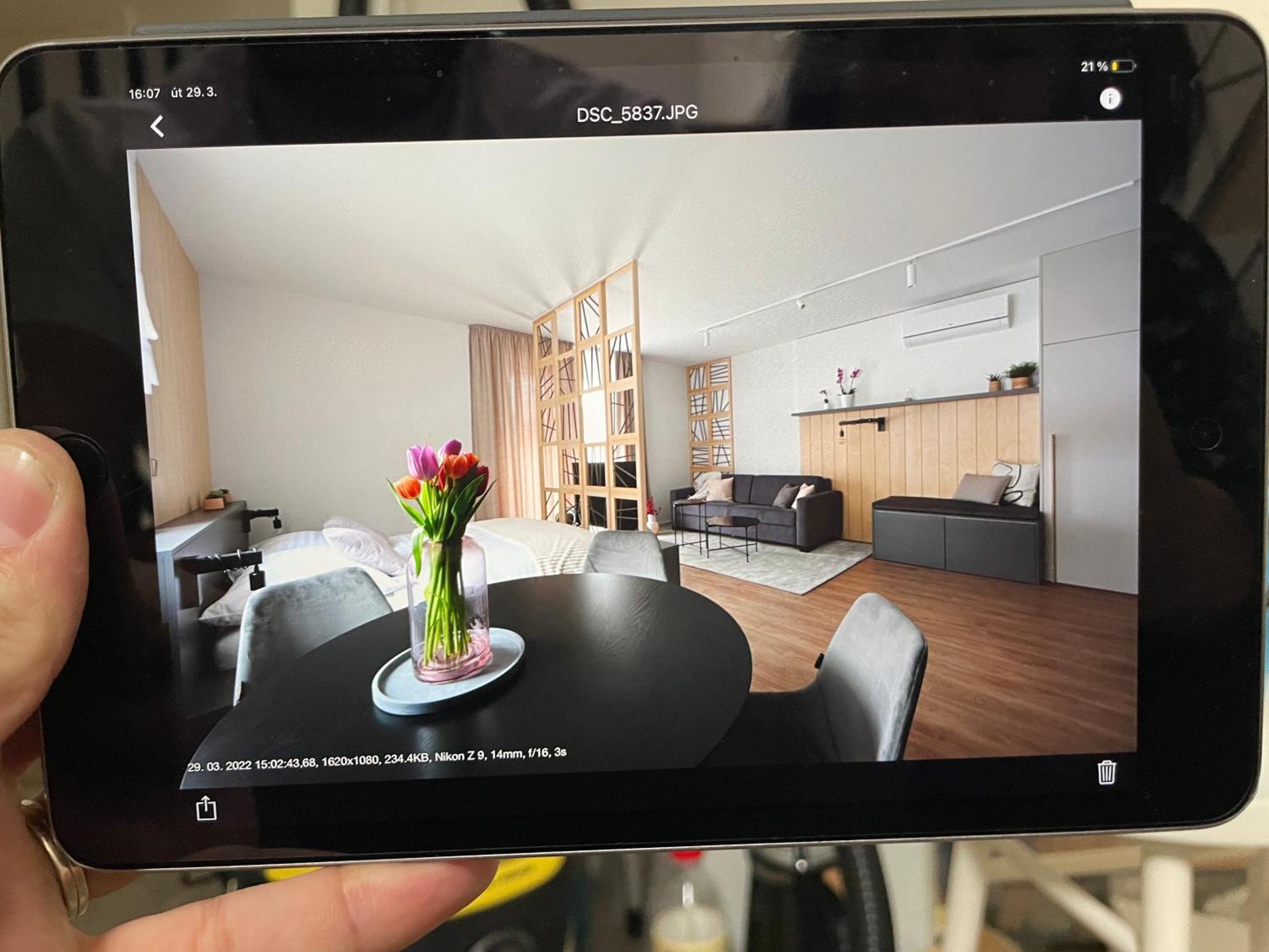 Apartmany U Lesa Dolni Morava Room photo